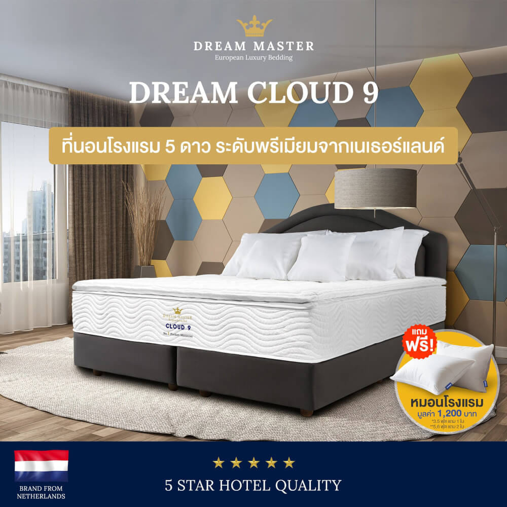 ที่นอน 6 ฟุต DREAM MASTER CLOUD 9