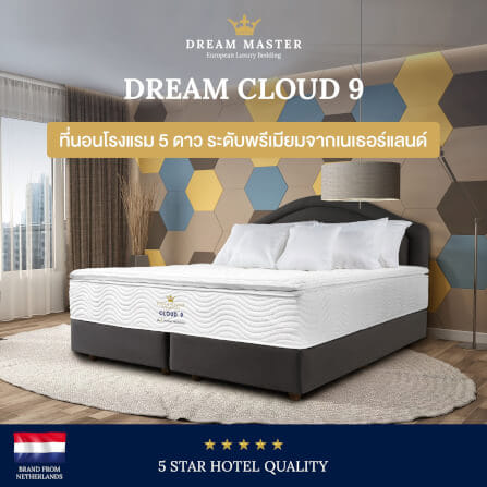 ที่นอน 3.5 ฟุต DREAM MASTER CLOUD 9_1