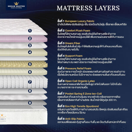 ที่นอน 3.5 ฟุต DREAM MASTER CLOUD 9_2
