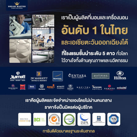 ที่นอน 3.5 ฟุต DREAM MASTER CLOUD 9_3