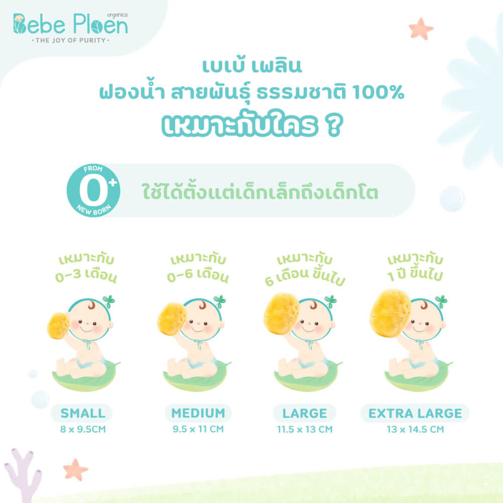 ฟองน้ำสายพันธุ์ธรรมชาติ 100% เบเบ้ เพลิน ออร์แกนิค (ขนาดใหญ่พิเศษ)
