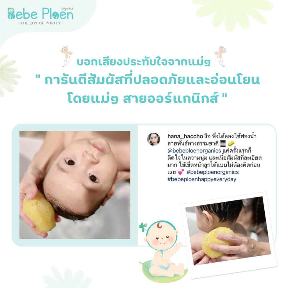 ฟองน้ำสายพันธุ์ธรรมชาติ 100% เบเบ้ เพลิน ออร์แกนิค (ขนาดใหญ่พิเศษ)