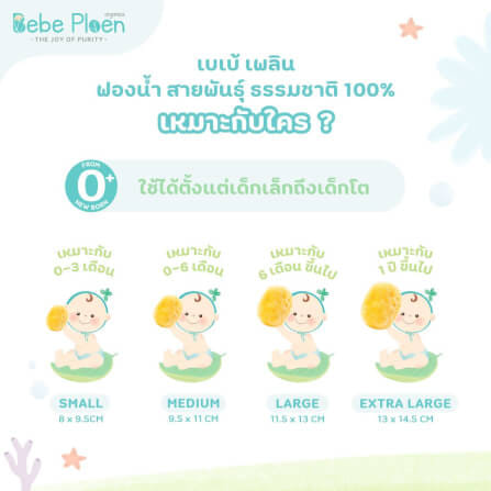 ฟองน้ำสายพันธุ์ธรรมชาติ 100% เบเบ้ เพลิน ออร์แกนิค (ขนาดกลาง)_2