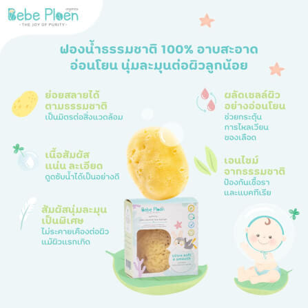 ฟองน้ำสายพันธุ์ธรรมชาติ 100% เบเบ้ เพลิน ออร์แกนิค (ขนาดกลาง)_3