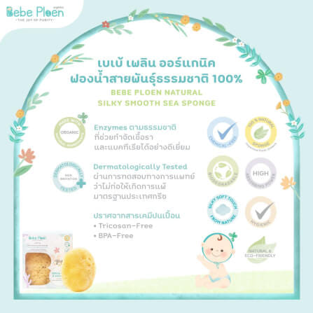 ฟองน้ำสายพันธุ์ธรรมชาติ 100% เบเบ้ เพลิน ออร์แกนิค (ขนาดกลาง)_4