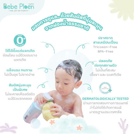 ฟองน้ำสายพันธุ์ธรรมชาติ 100% เบเบ้ เพลิน ออร์แกนิค (ขนาดใหญ่)_4