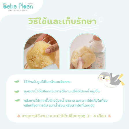 ฟองน้ำสายพันธุ์ธรรมชาติ 100% เบเบ้ เพลิน ออร์แกนิค (ขนาดใหญ่พิเศษ)_4