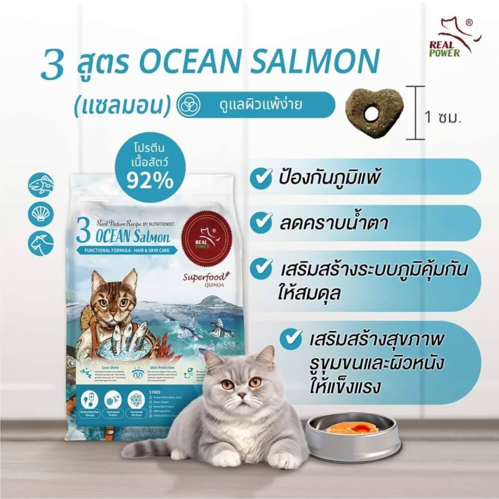 อาหารเม็ดสำหรับแมว REAL POWER เกรดโฮลิสติก NO.3 สูตรแซลมอน 2 กิโลกรัม_1