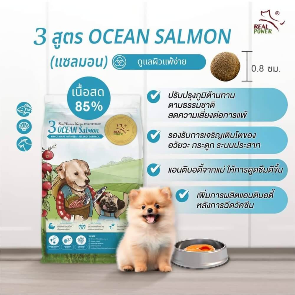 อาหารเม็ดสำหรับลูกสุนัข REAL POWER เกรดโฮลิสติก NO.3 สูตรแซลมอน 500 กรัม_5