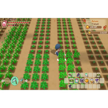 แผ่นเกม Nintendo Switch STORY OF SEASONS: Friends of Mineral Town ภาษาอังกฤษ _3
