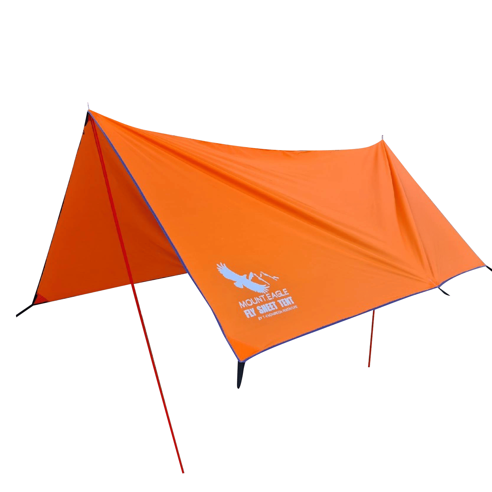 cate-Fly sheet