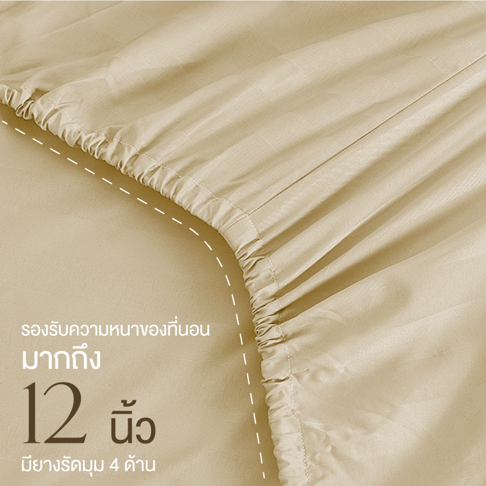 ชุดผ้าปูที่นอน 3.5 ฟุต 4 ชิ้น IBED ลายริ้ว BUTTER CREAM พร้อมผ้านวมเย็บติด