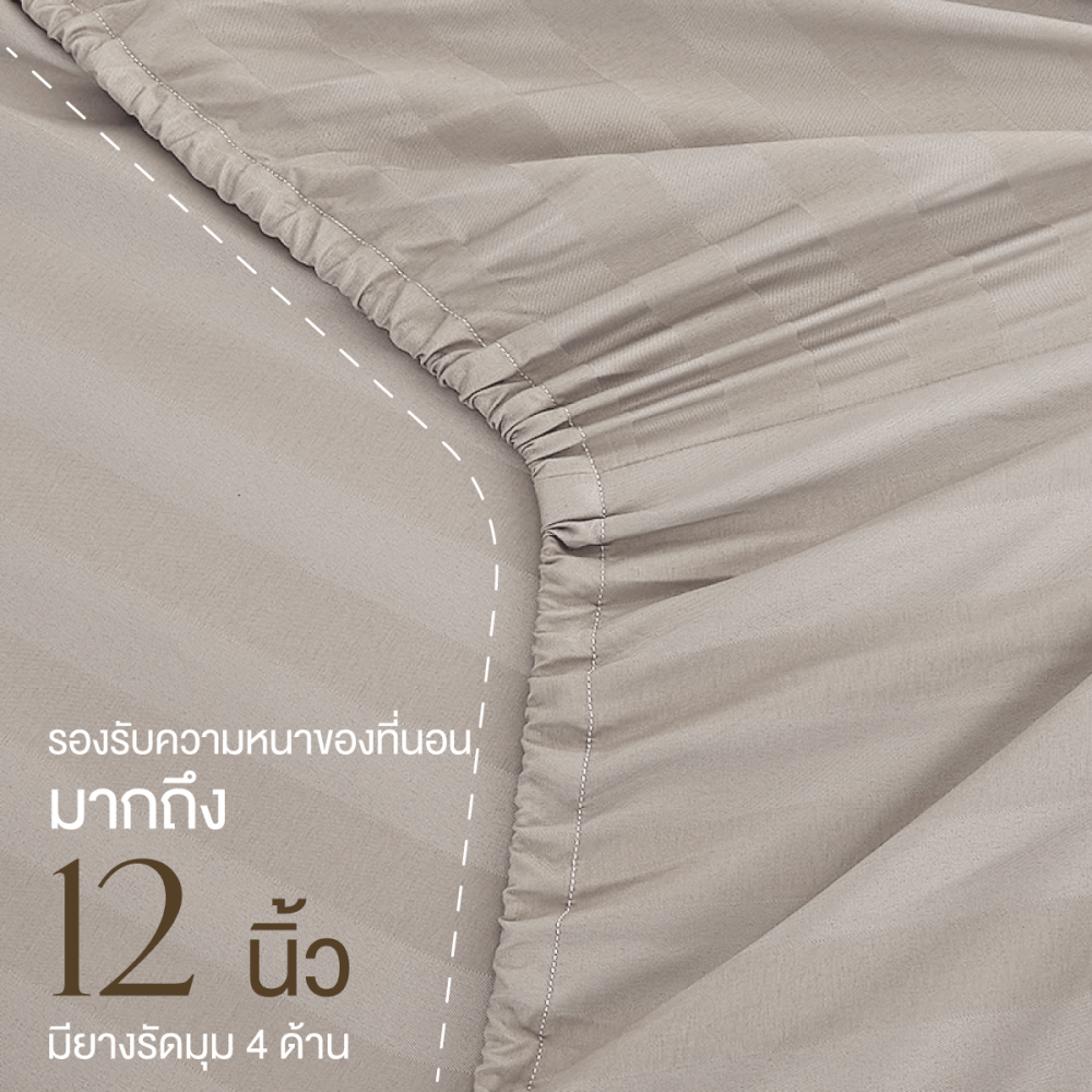 ชุดผ้าปูที่นอน 5 ฟุต 7 ชิ้น IBED ลายริ้ว LATTE MILK พร้อมผ้านวมถอดซัก