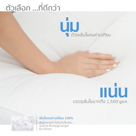 แผ่นรองนอน 6 ฟุต IBED รุ่นเอ็กซ์ตร้า (ลายเรียบ) หนา 5 นิ้ว PEACH_1