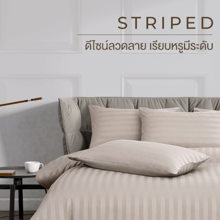ชุดผ้าปูที่นอน 5 ฟุต 7 ชิ้น IBED ลายริ้ว LATTE MILK พร้อมผ้านวมถอดซัก_1