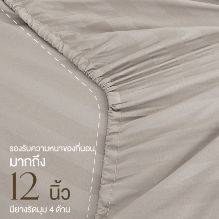 ชุดผ้าปูที่นอน 6 ฟุต 7 ชิ้น IBED ลายริ้ว LATTE MILK พร้อมผ้านวมถอดซัก_4