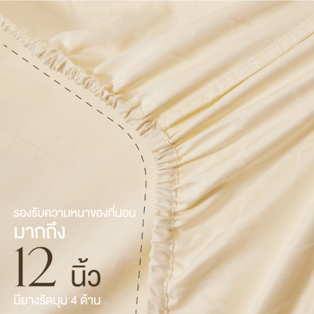 ชุดผ้าปูที่นอน 6 ฟุต 7 ชิ้น IBED ลายสี่เหลี่ยม VANILLA พร้อมผ้านวมถอดซัก_4