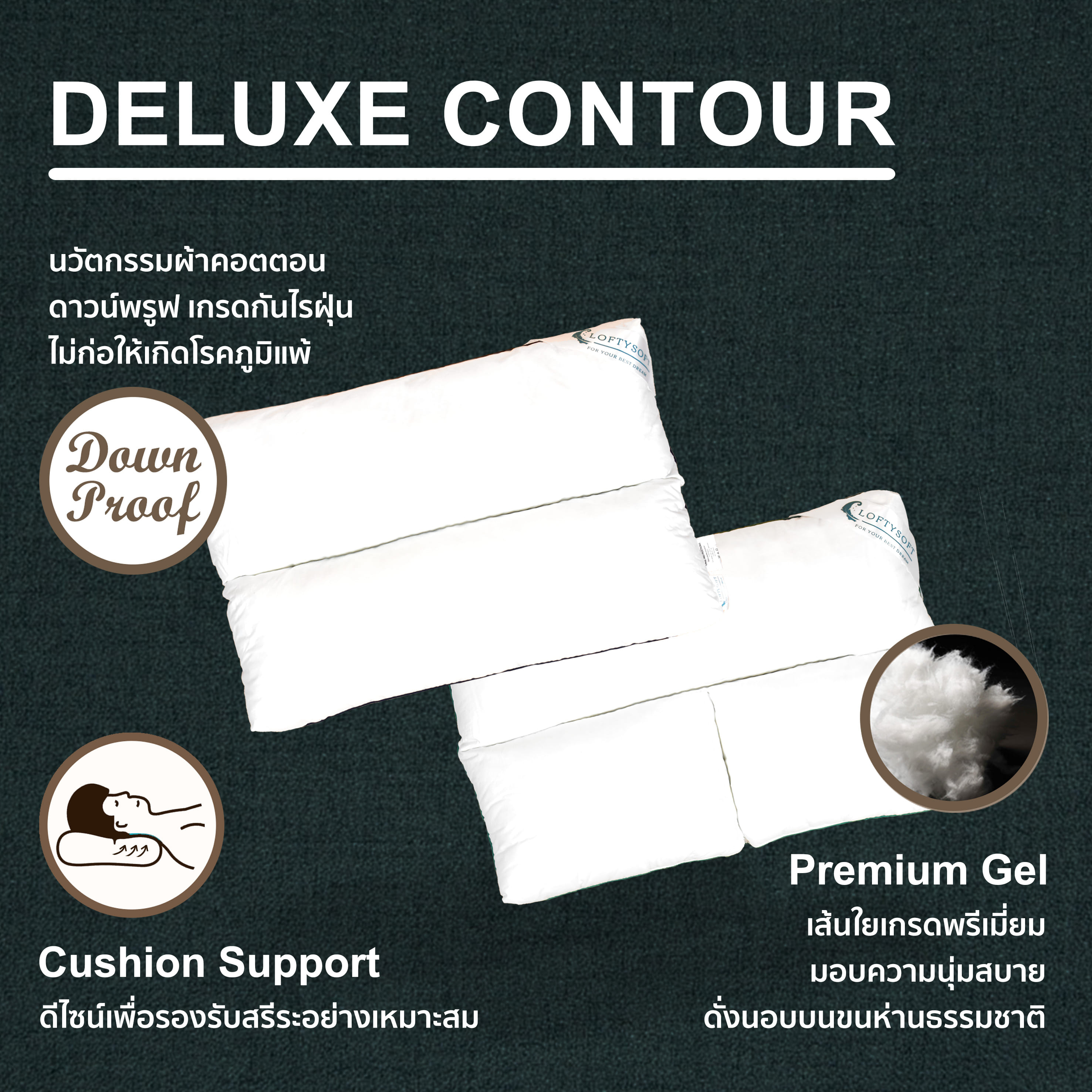 หมอนสุขภาพ หมอนคอนทัวร์ LOFTYSOFT - DELUXE CONTOUR รุ่น BACK SLEEPER สำหรับคนชอบนอนหงาย_3