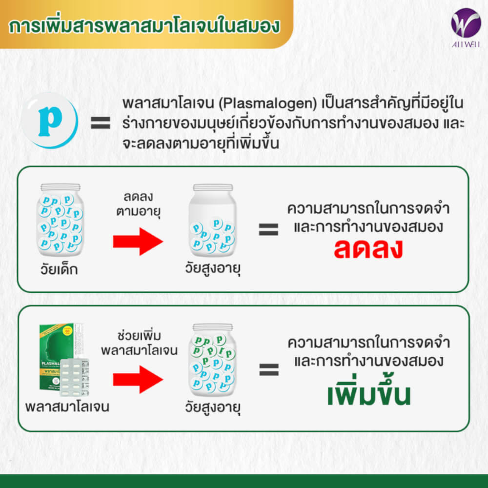 ผลิตภัณฑ์เสริมอาหาร Plasmalogen (พลาสมาโลเจน) จากประเทศญี่ปุ่น บำรุงสมอง เพิ่มความจำ _2