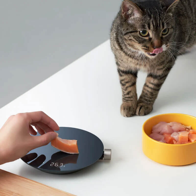 เครื่องชั่งน้ำหนักอาหาร HOTO Smart Kitchen Scale สีดำ