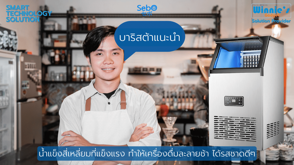 เครื่องทำน้ำแข็งสี่เหลี่ยม แบบใส SebO FROZEN CUBE 