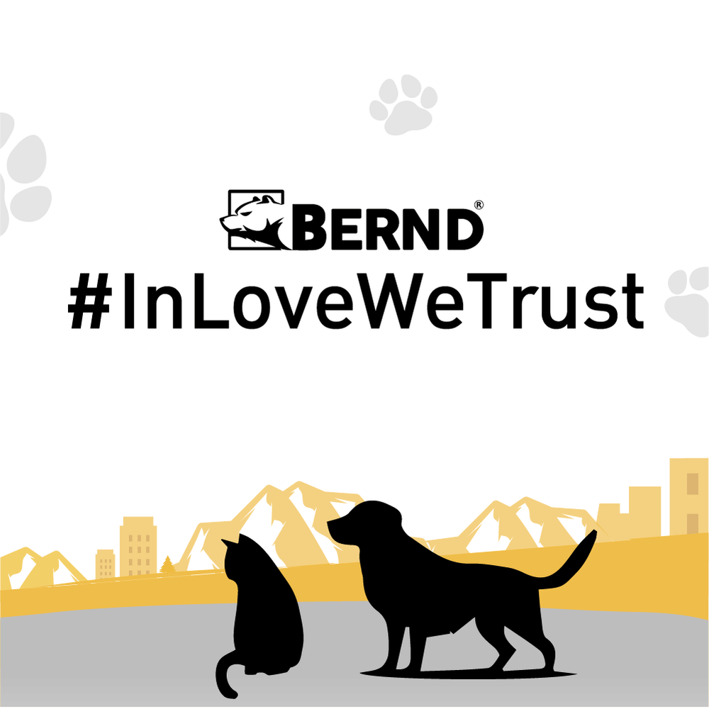 รถเข็นสัตว์เลี้ยง BERND BLOOM PET MINI MK.2 - สีดำ