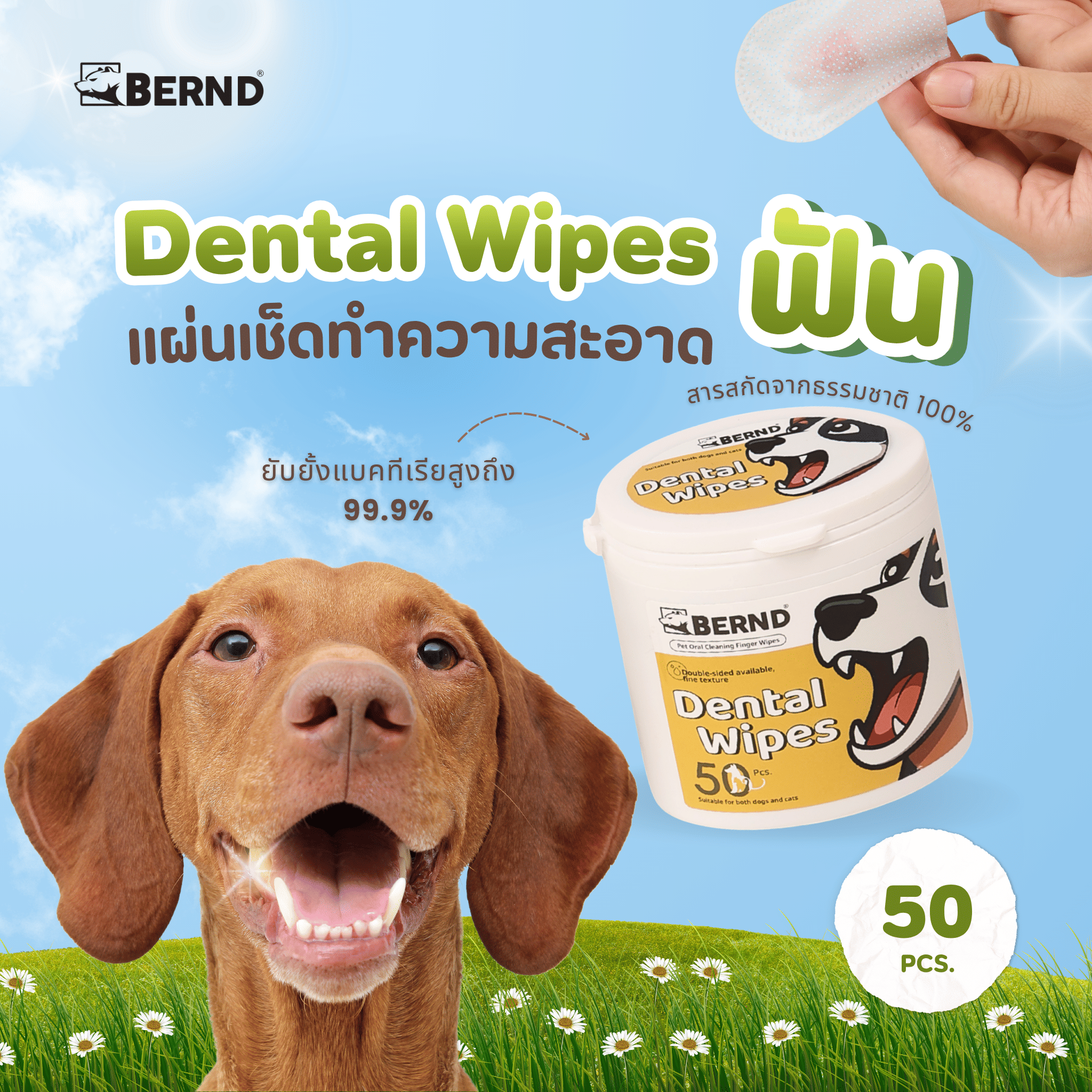 แผ่นเช็ดทำความสะอาดช่องปาก สำหรับสัตว์เลี้ยง BERND 50 ชิ้น_1