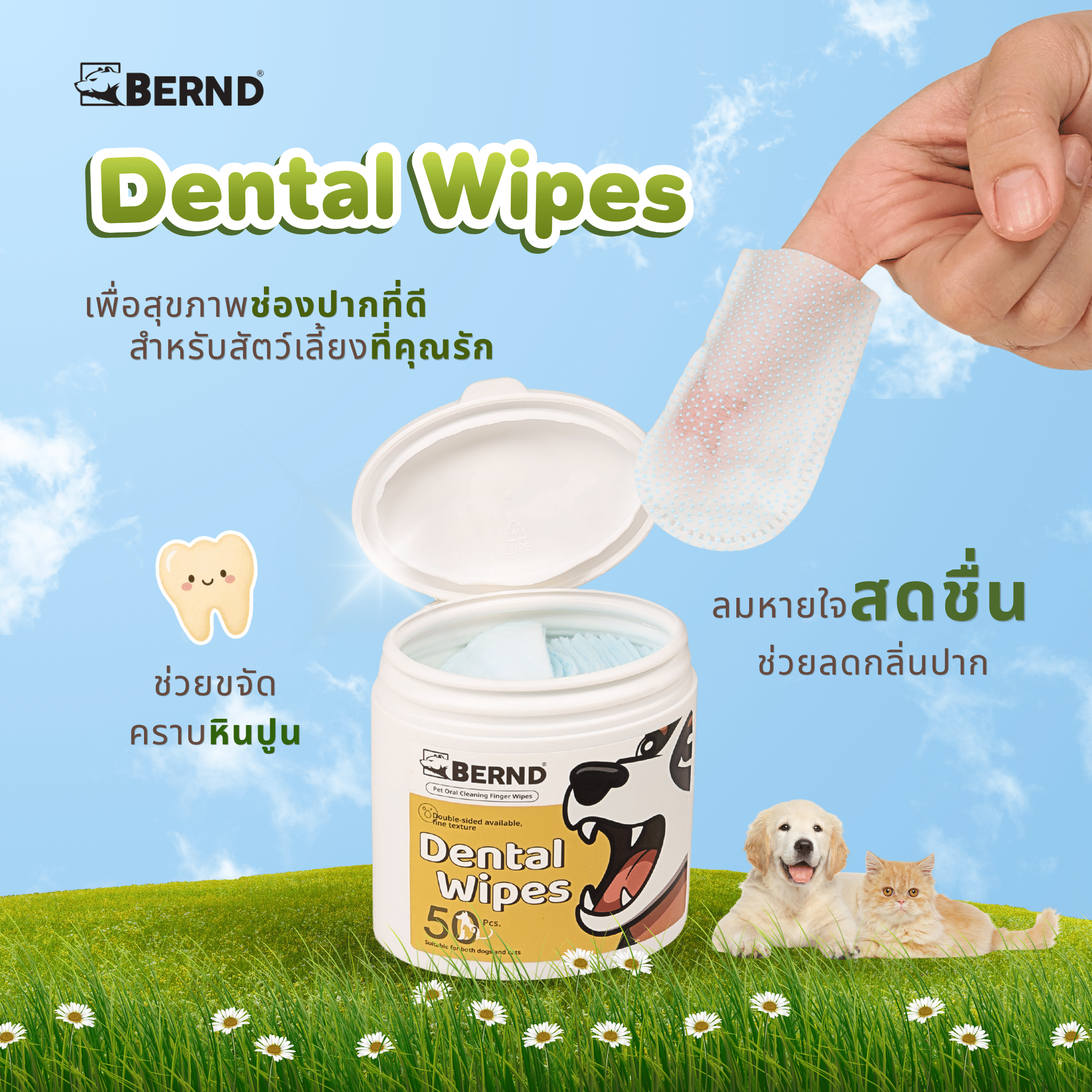 แผ่นเช็ดทำความสะอาดช่องปาก สำหรับสัตว์เลี้ยง BERND 50 ชิ้น_2