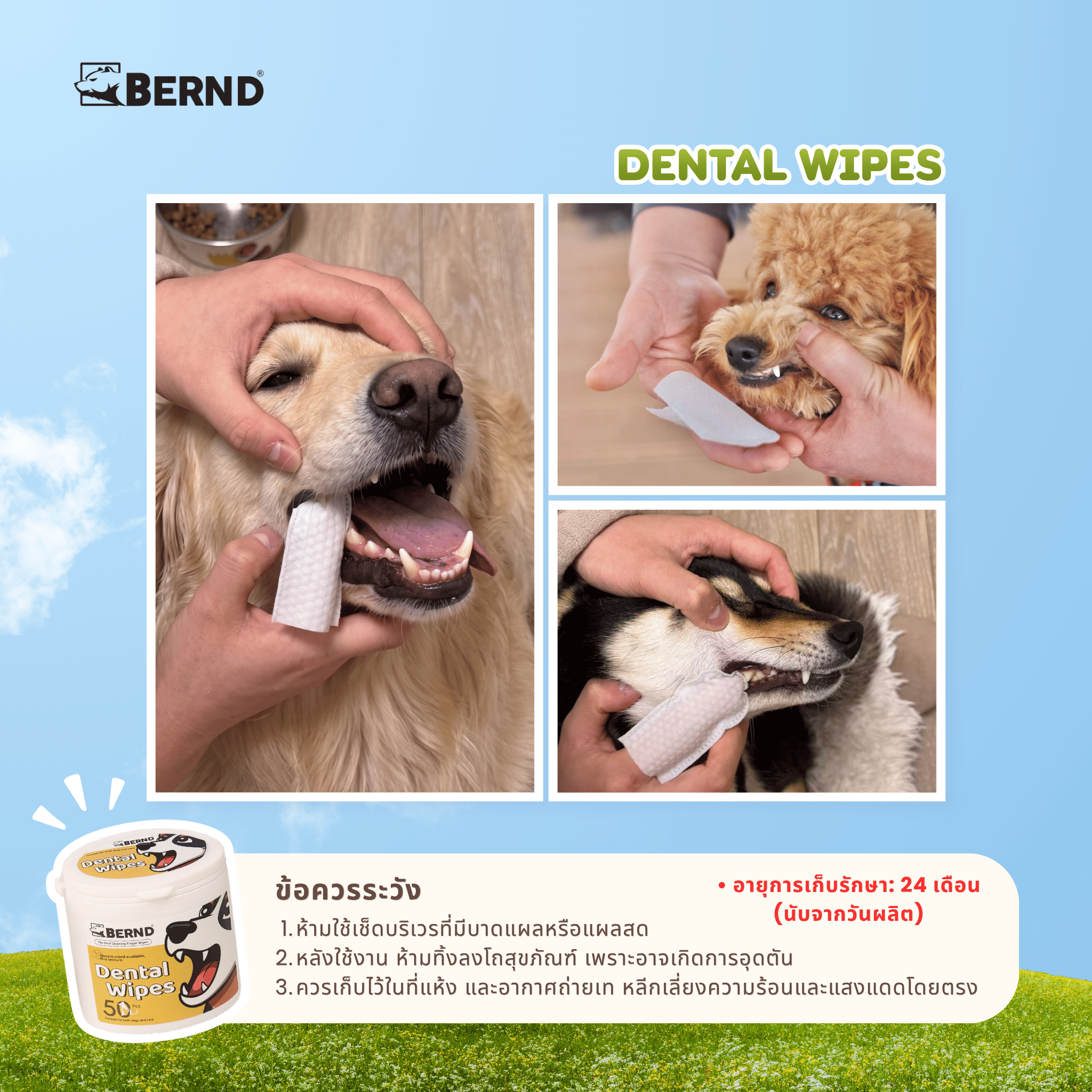 แผ่นเช็ดทำความสะอาดช่องปาก สำหรับสัตว์เลี้ยง BERND 50 ชิ้น_5