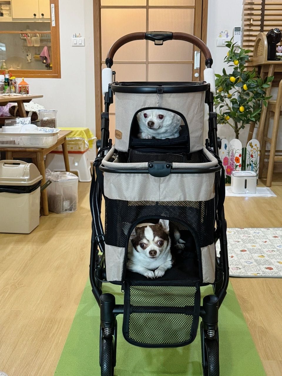 รถเข็นสัตว์เลี้ยงแบบสองชั้น BERND WANDA PET PLUS -TUSCAN BEIGE_11