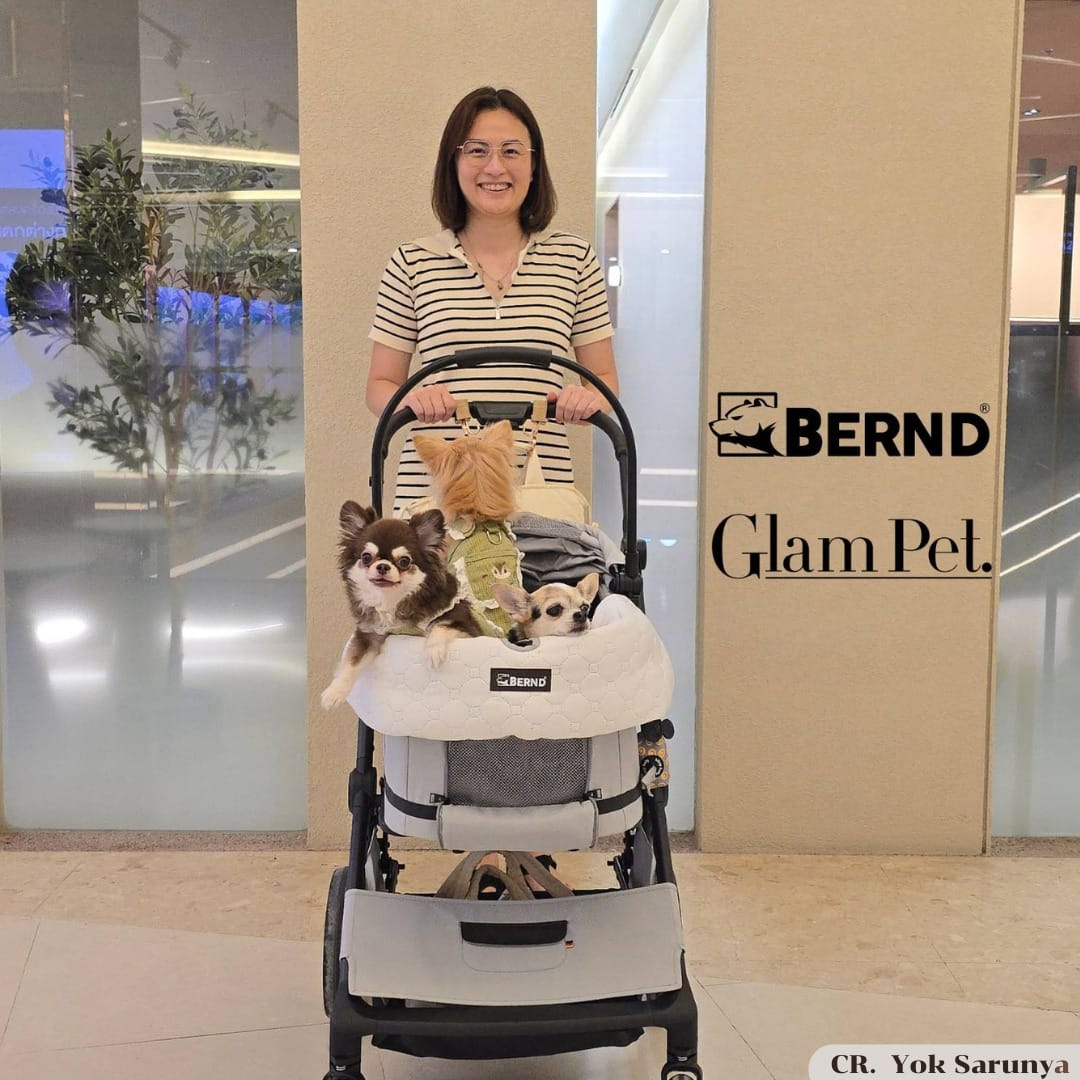 รถเข็นสัตว์เลี้ยง BERND รุ่น GLAM PET (DUO MODE) - HARBOR GRAY_11