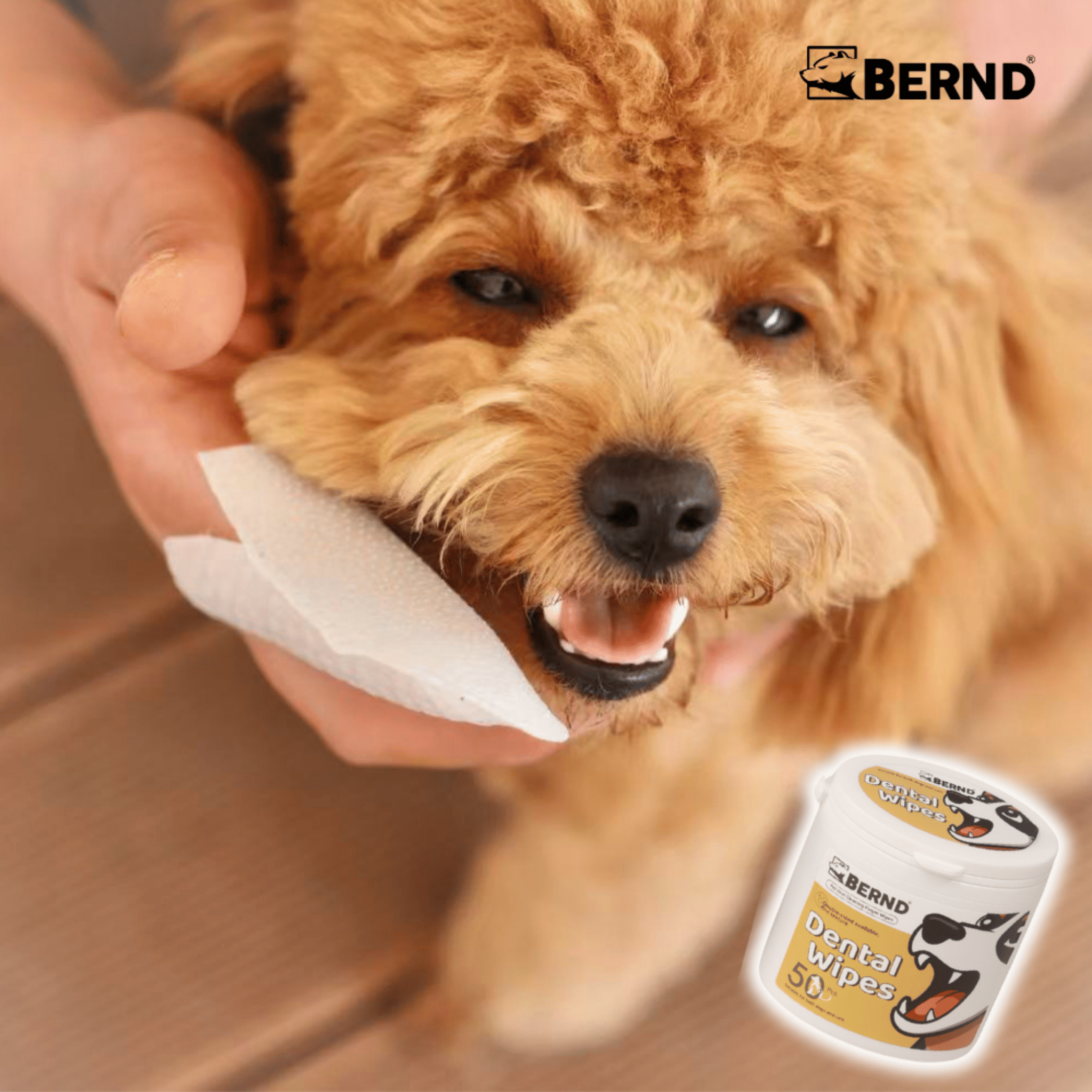 แผ่นเช็ดทำความสะอาดช่องปาก สำหรับสัตว์เลี้ยง BERND 50 ชิ้น_6