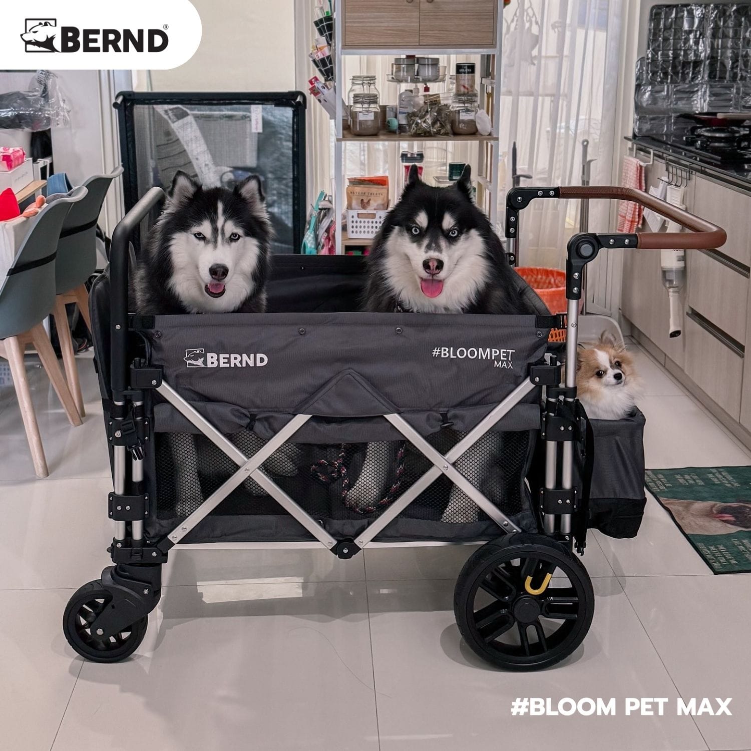รถเข็นสัตว์เลี้ยง BERND BLOOM PET MAX สีเทา_11