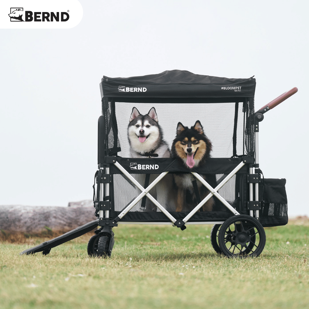 รถเข็นสัตว์เลี้ยง BERND BLOOM PET MINI MK.2 - สีดำ_9