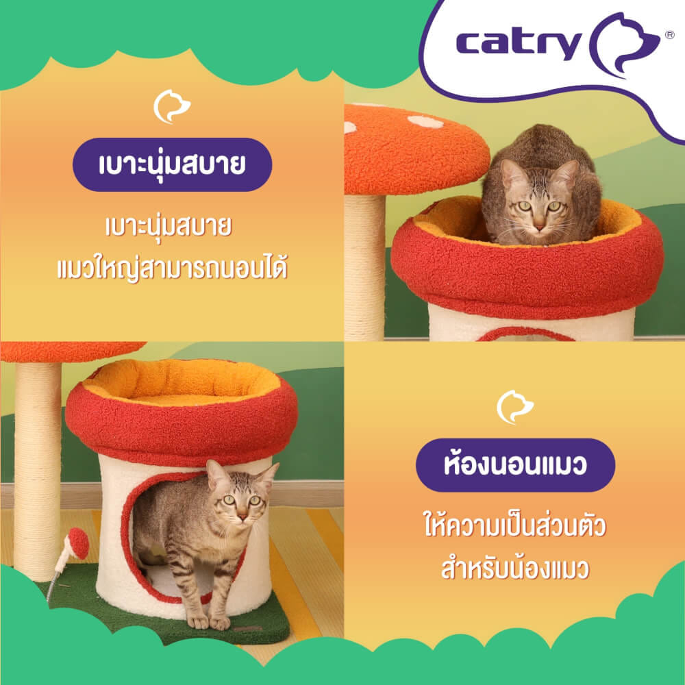 คอนโดแมว Catry รุ่น Mushroom Quest พร้อมเสาลับเล็บรูปทรงเห็ดขนาดเล็ก