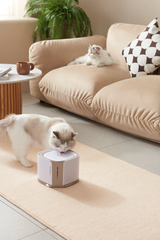 น้ำพุสัตว์เลี้ยงอัตโนมัติ PetSnowy ความจุ 2 ลิตร_6