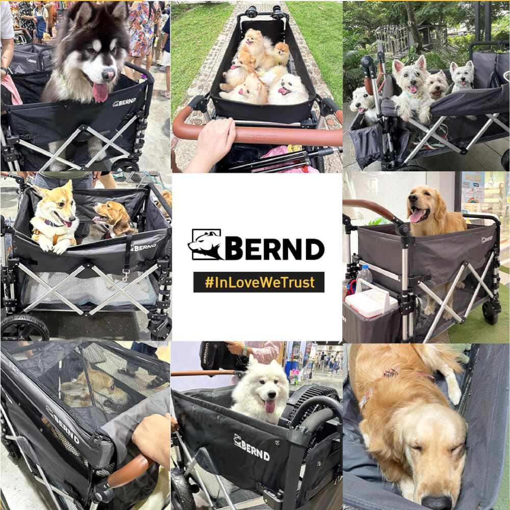 รถเข็นสัตว์เลี้ยง BERND BLOOM PET สีน้ำเงิน (LIMITED)