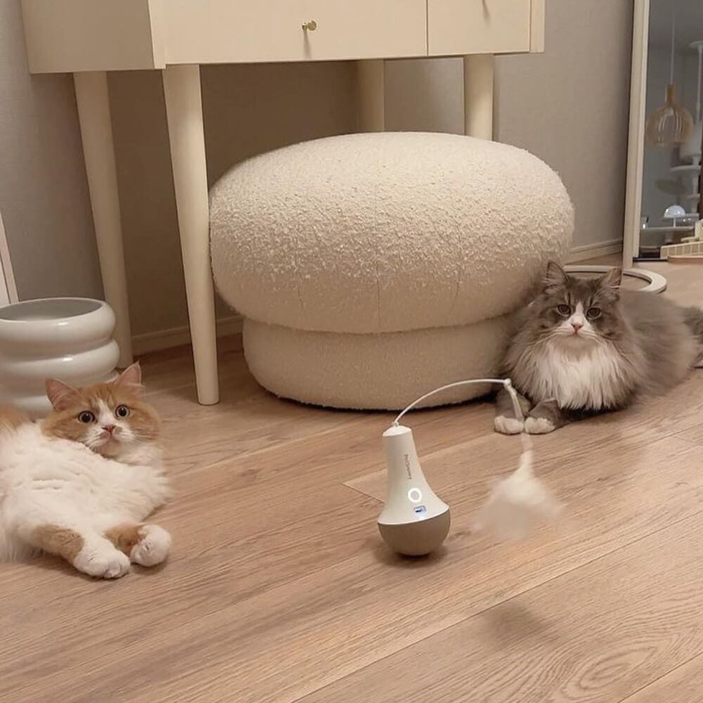 ของเล่นแมวอัตโนมัติ PetSnowy