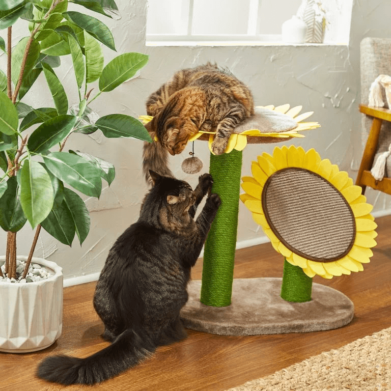 คอนโดแมว Catry รุ่น Sunflower พร้อมเสาลับเล็บ 2 เสาและที่นอนกำมะหยี่