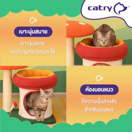 คอนโดแมว Catry รุ่น Mushroom Quest พร้อมเสาลับเล็บรูปทรงเห็ดขนาดเล็ก_3