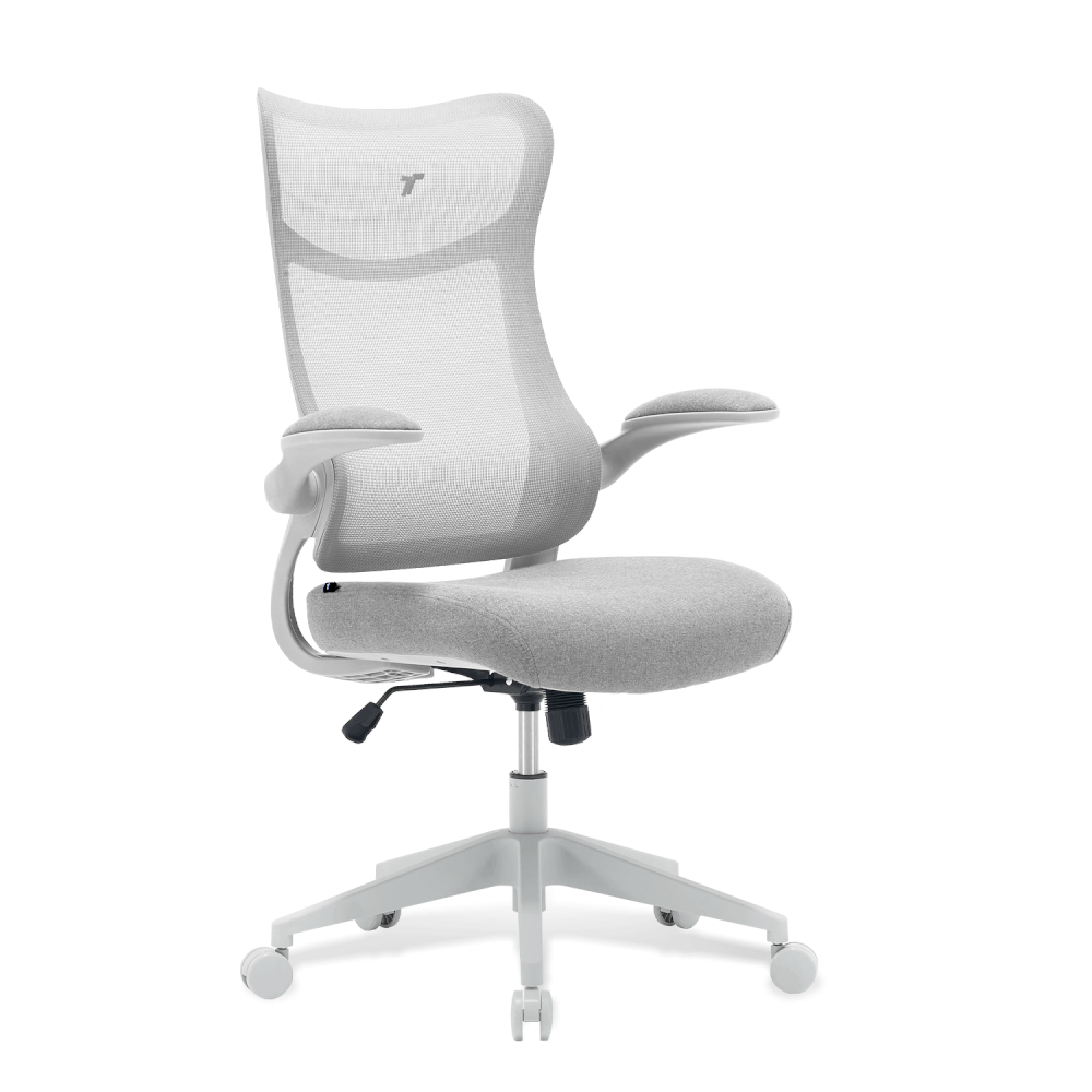 เก้าอี้ทำงาน TTRacing AIRFLEX V2 ผ้าตาข่าย Ergochair - Ashy Grey