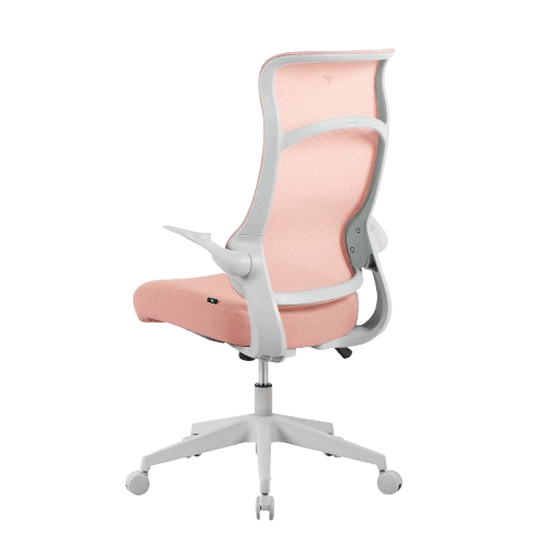 เก้าอี้ทำงาน TTRacing AIRFLEX ผ้าตาข่าย Ergochair - Coral Red