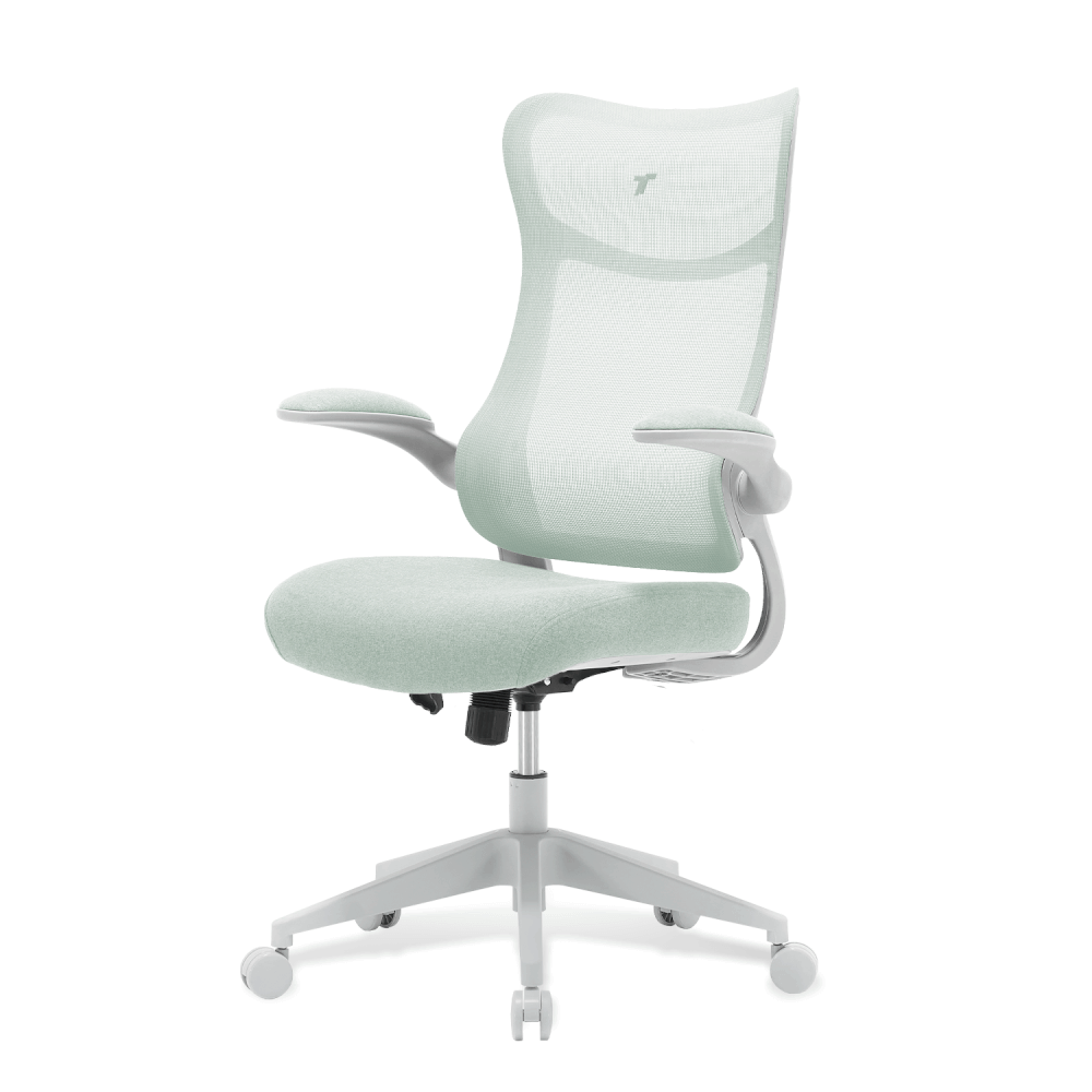 เก้าอี้ทำงาน TTRacing AIRFLEX V2 ผ้าตาข่าย Ergochair - Minty Green_4