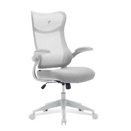 เก้าอี้ทำงาน TTRacing AIRFLEX V2 ผ้าตาข่าย Ergochair - Ashy Grey_0