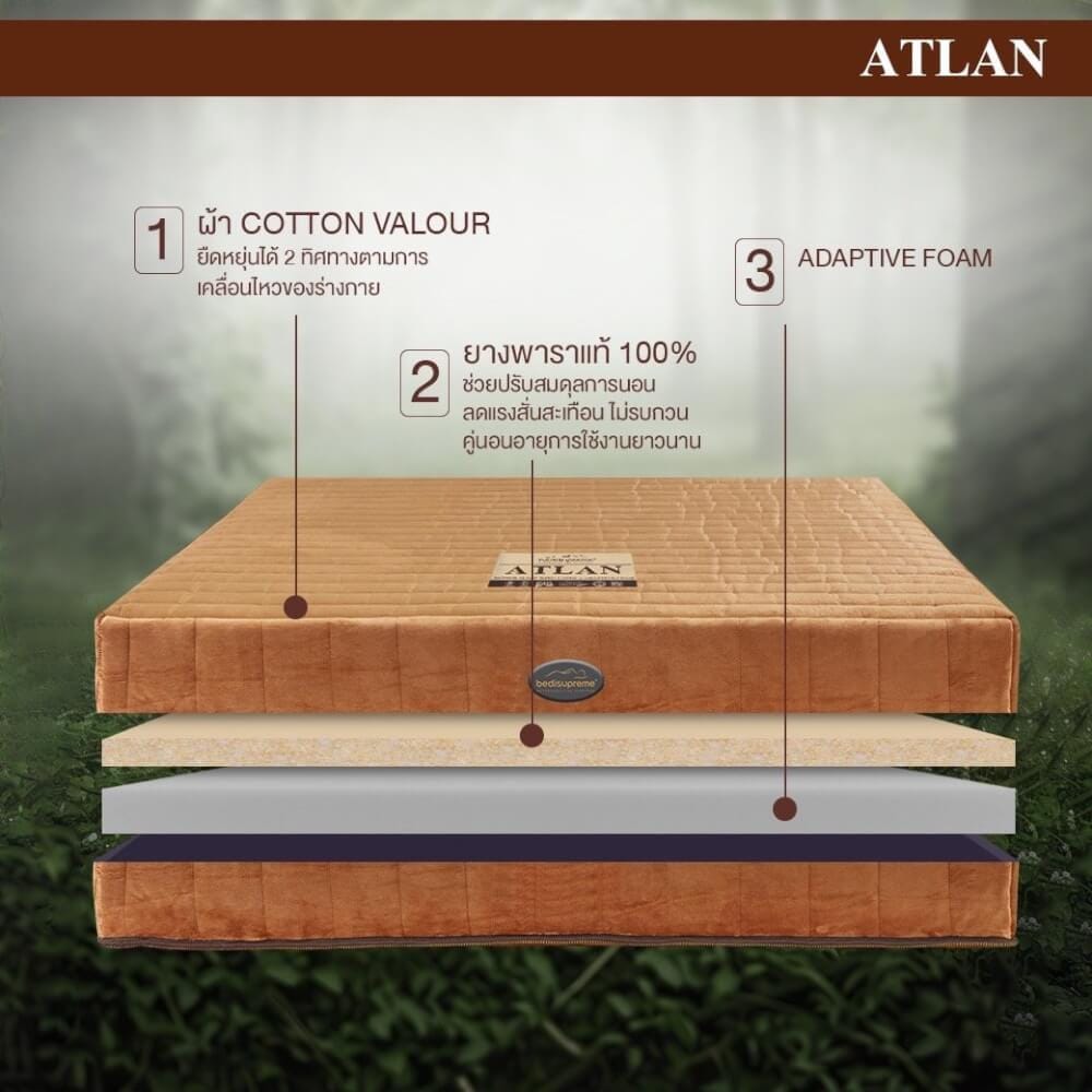 ที่นอน 5 ฟุต BEDISUPREME รุ่น ATLAN หนา 7 นิ้ว_2