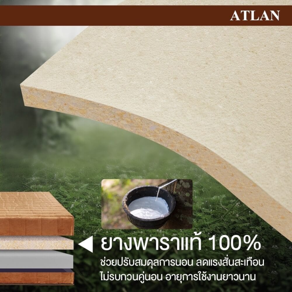 ที่นอน 5 ฟุต BEDISUPREME รุ่น ATLAN หนา 7 นิ้ว_3