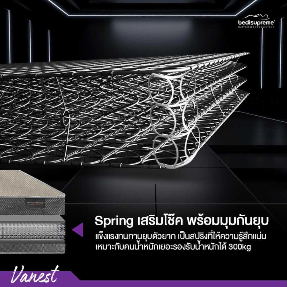 ที่นอน 3 ฟุต BEDISUPREME รุ่น VANEST+ หนา 8 นิ้ว สีน้ำตาล