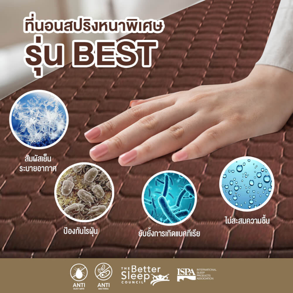 ที่นอน 6 ฟุต BEDISUPREME รุ่น BEST หนา 8.5 นิ้ว สีน้ำตาล
