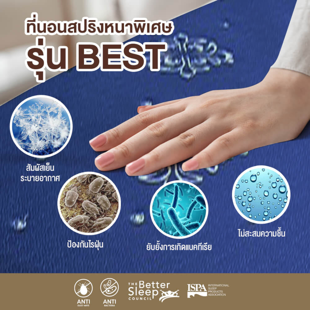 ที่นอน 5 ฟุต BEDISUPREME รุ่น BEST หนา 8.5 นิ้ว สีน้ำเงิน