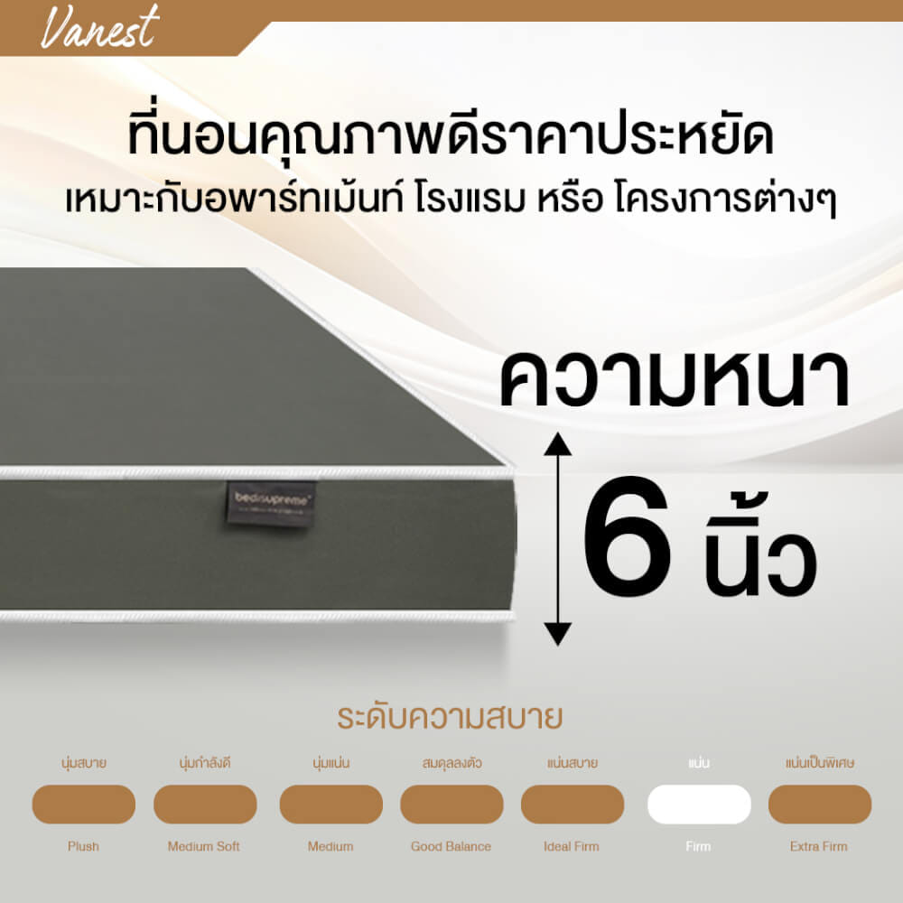 ที่นอนยางPE 3 ฟุต BEDIUPREME หุ้มหนังPVC สีเทา รุ่น VANEST หนา 6 นิ้ว